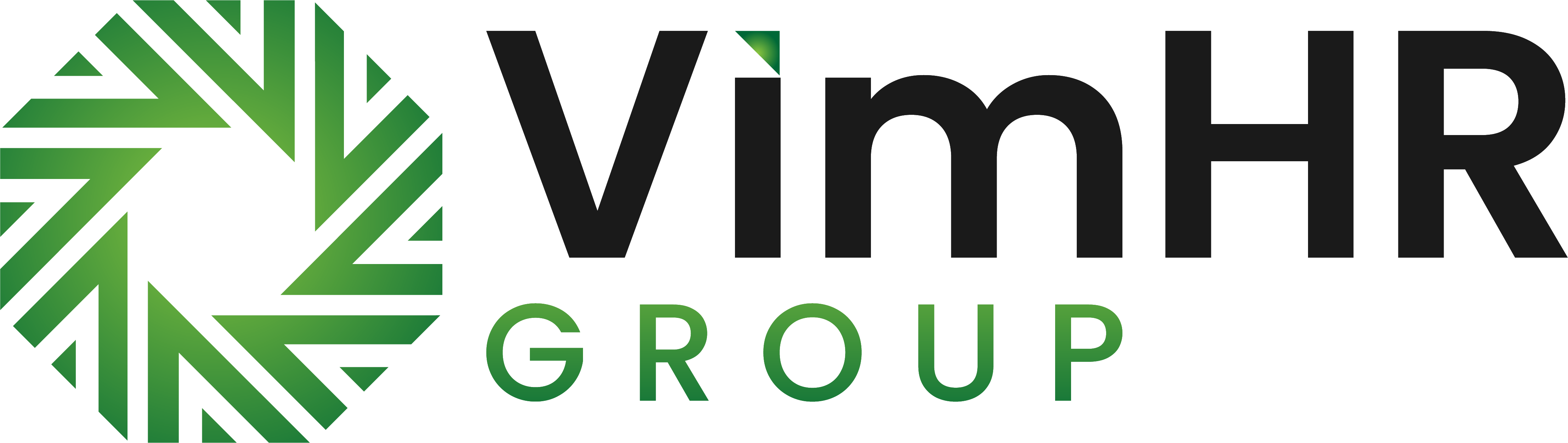 VimOne Logo